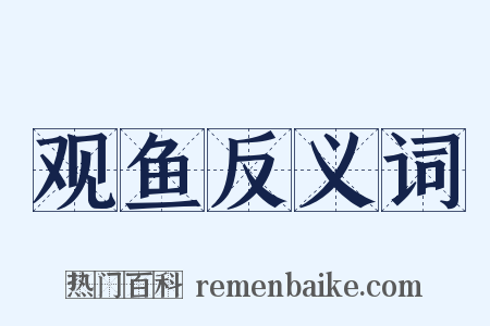 观鱼反义词是什么意思的图片